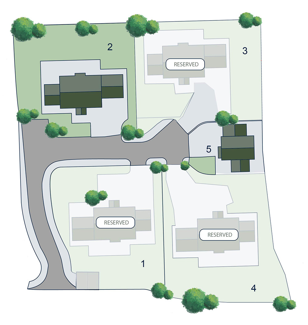 Nook Dairy Plan