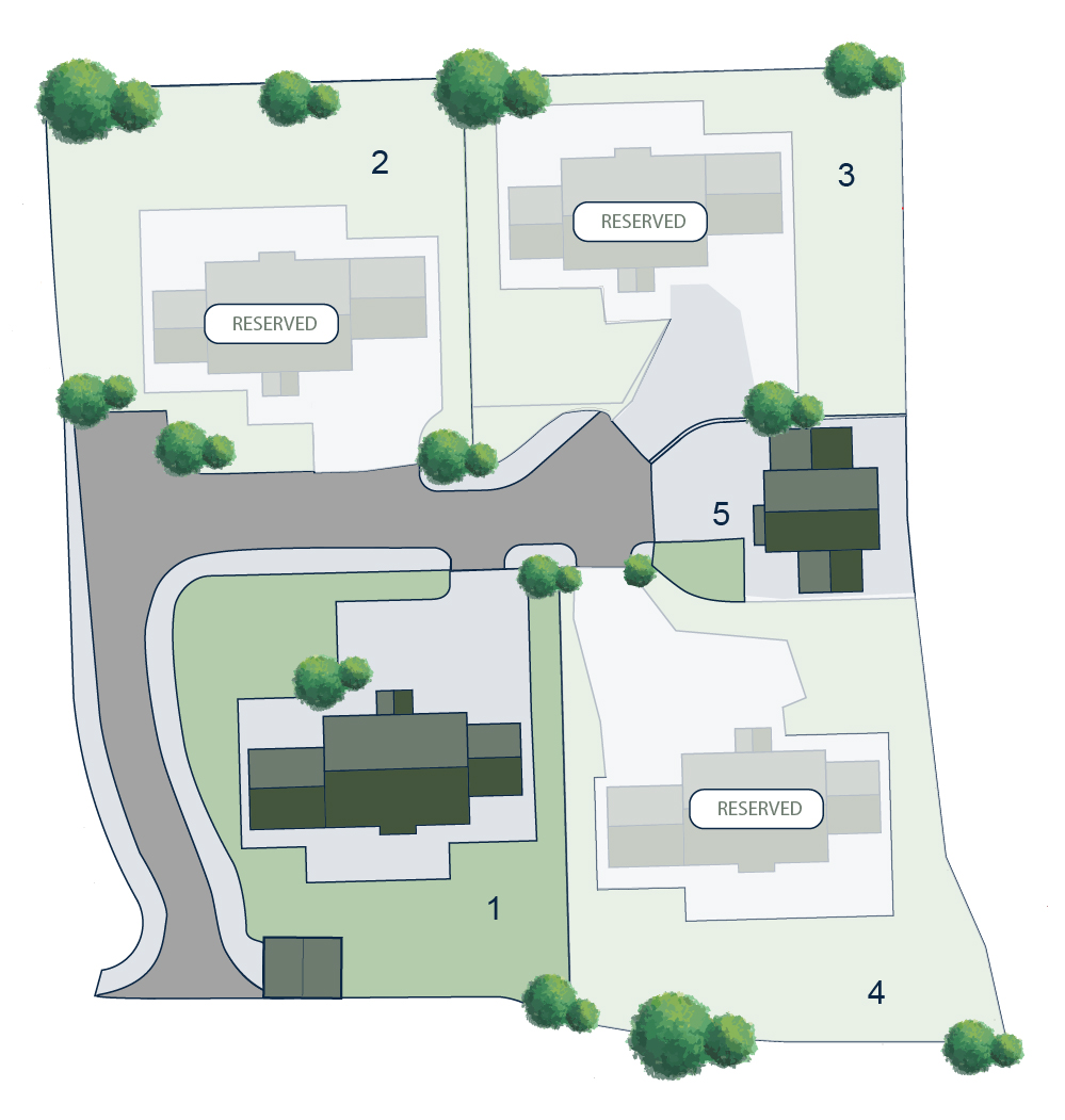 Nook Dairy Plan